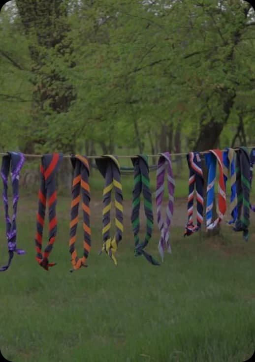 Scouts scarves